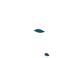 SheQue logo